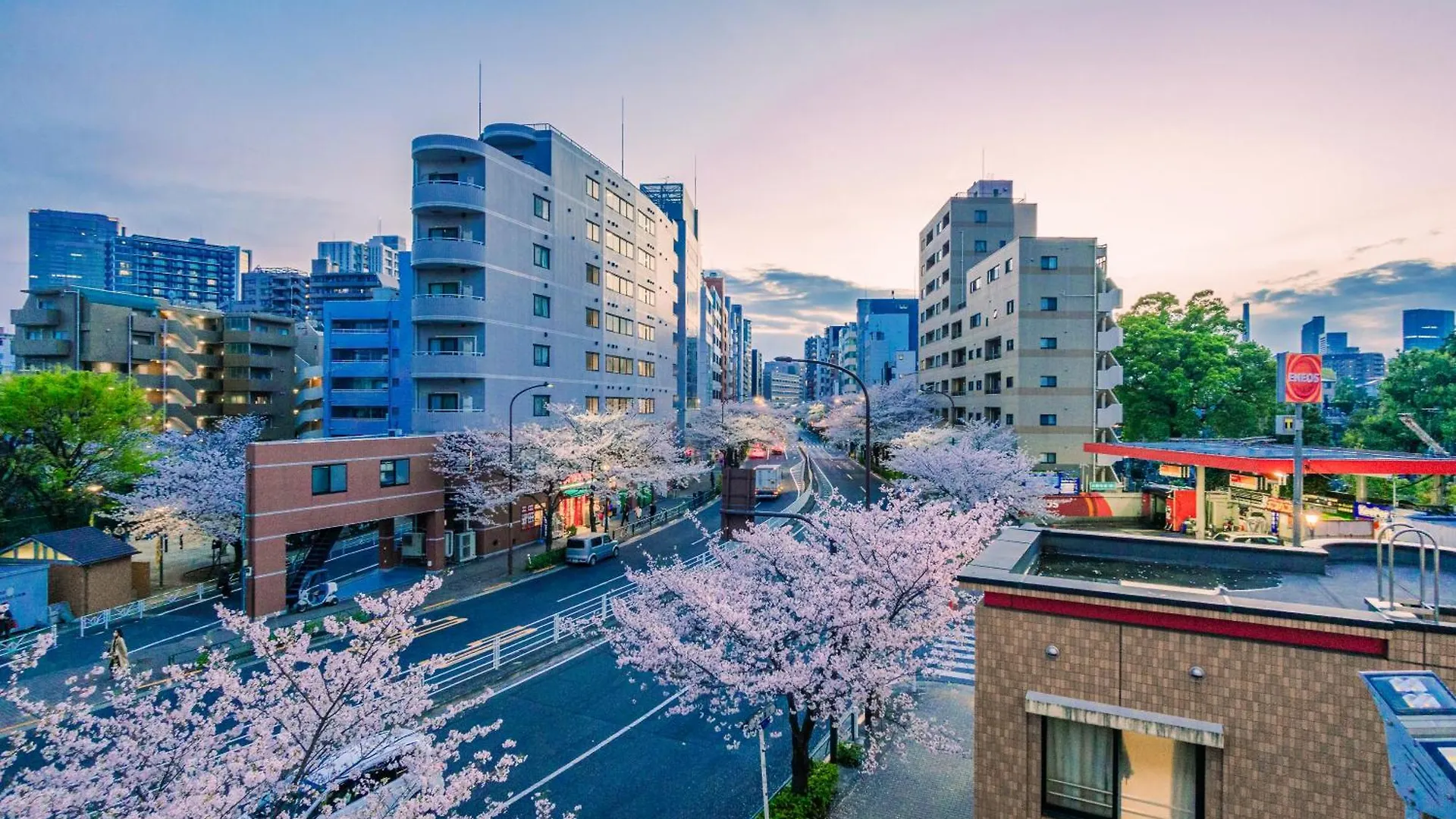 Sakura Stays Tokyo Japan